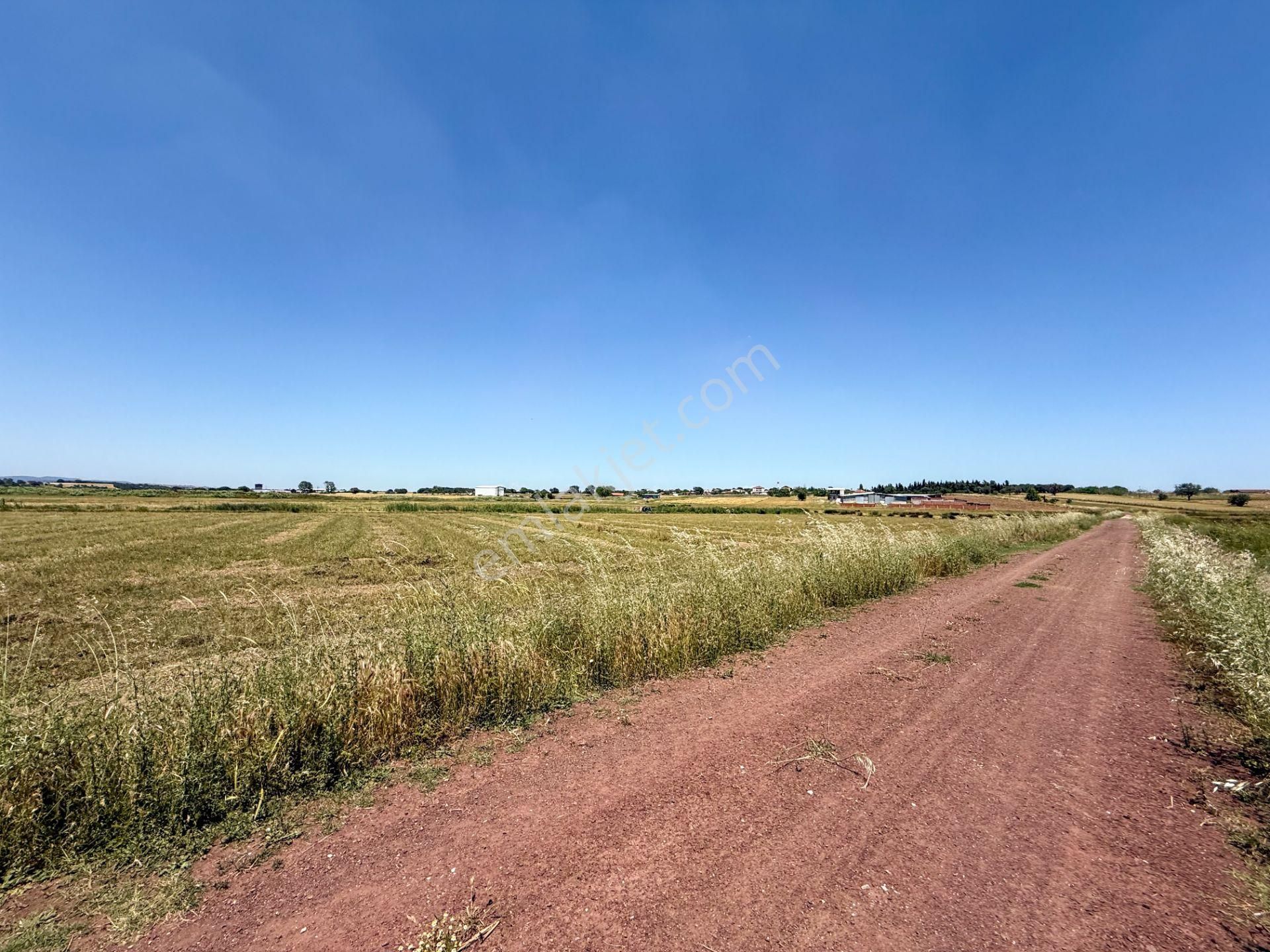 Çanakkale Biga'da Köye 600 M, Üniversiteye 2 Km Yatırım Fırsatı - Görsel 5