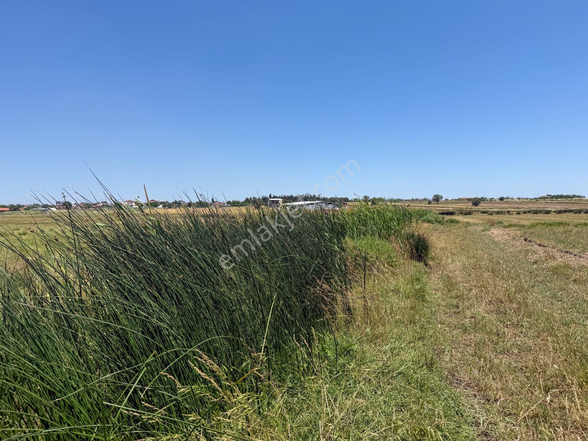 Çanakkale Biga'da Köye 600 M, Üniversiteye 2 Km Yatırım Fırsatı - Görsel 22