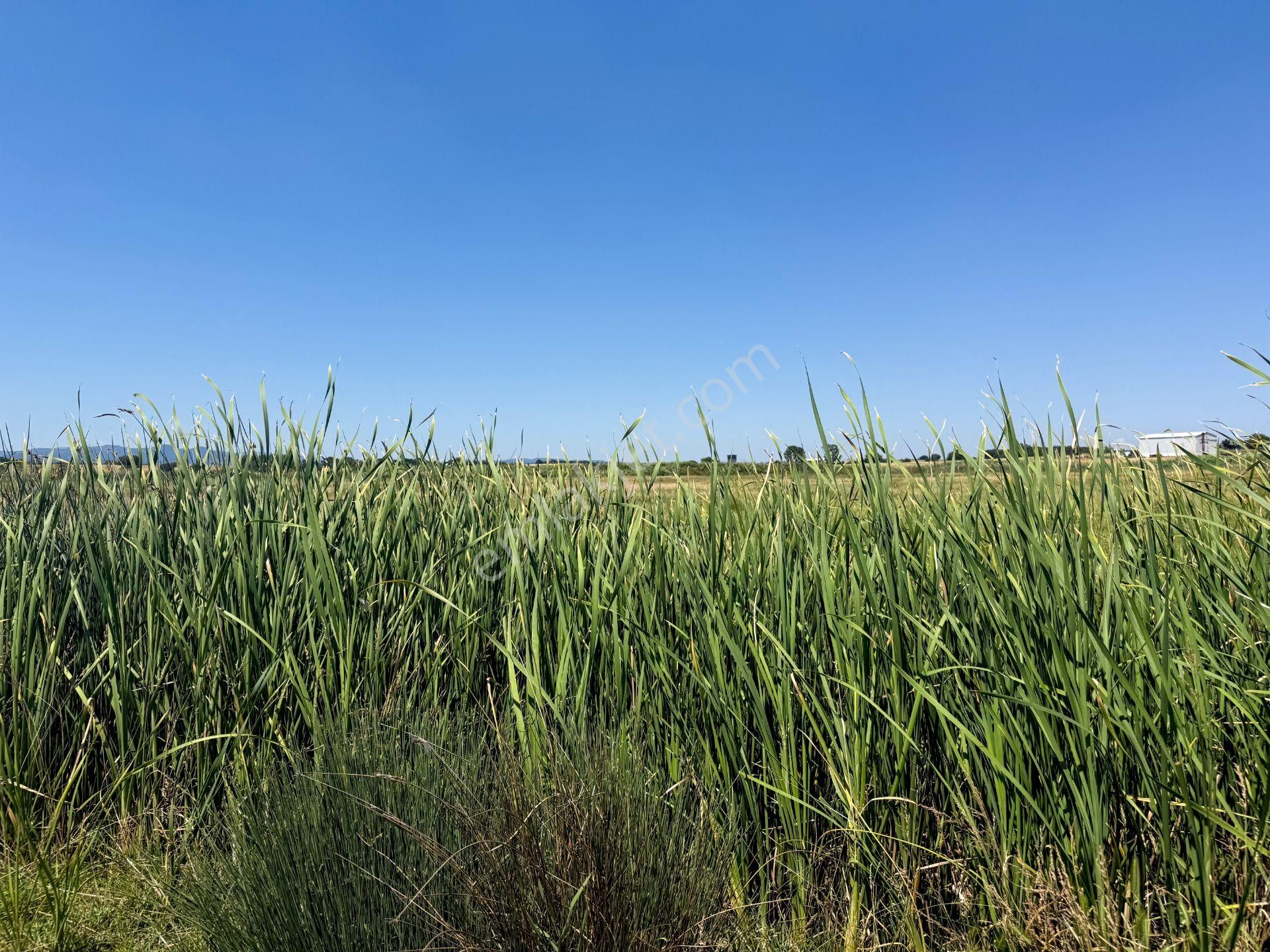 Çanakkale Biga'da Köye 600 M, Üniversiteye 2 Km Yatırım Fırsatı - Görsel 8