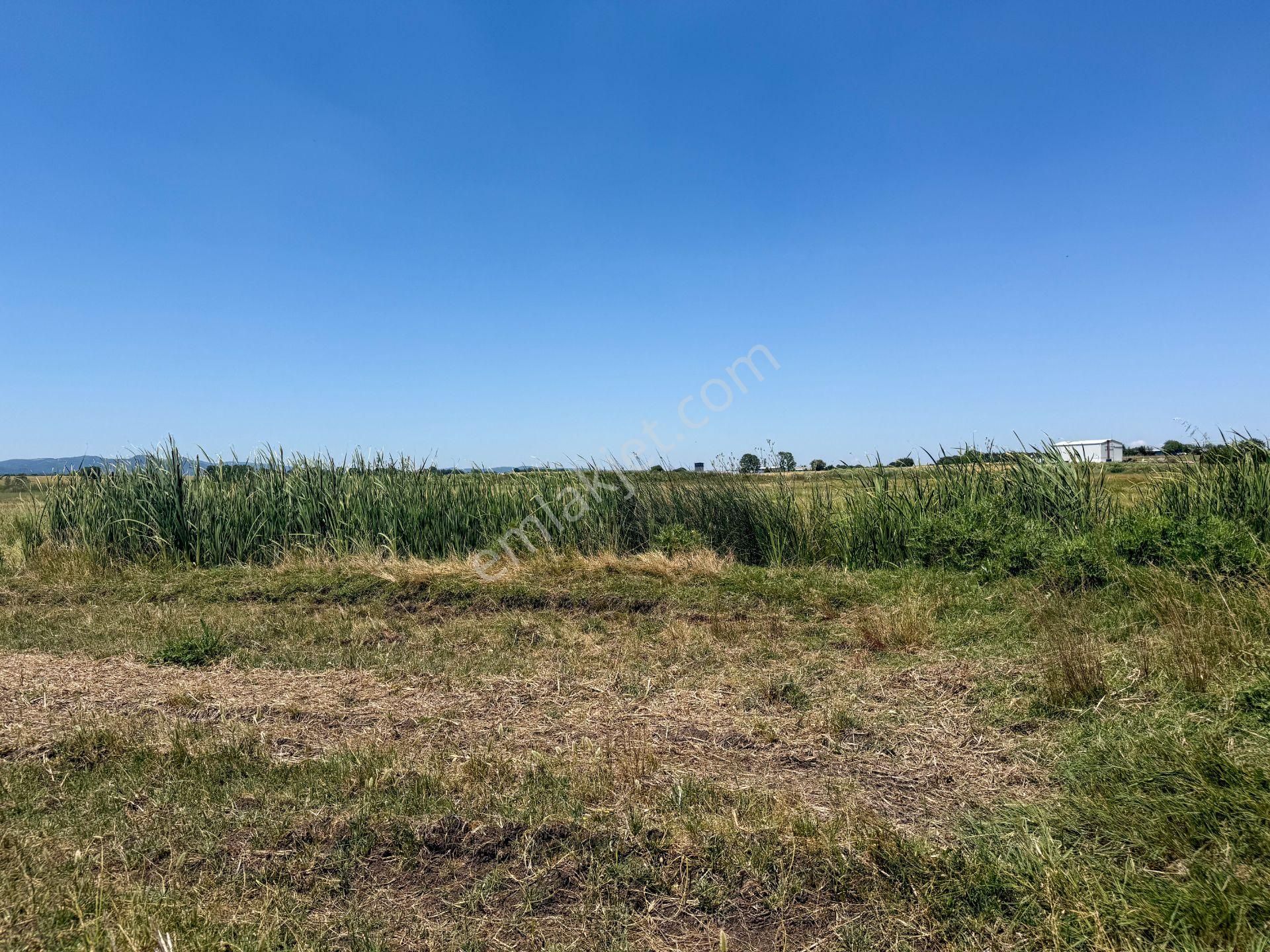 Çanakkale Biga'da Köye 600 M, Üniversiteye 2 Km Yatırım Fırsatı - Görsel 20