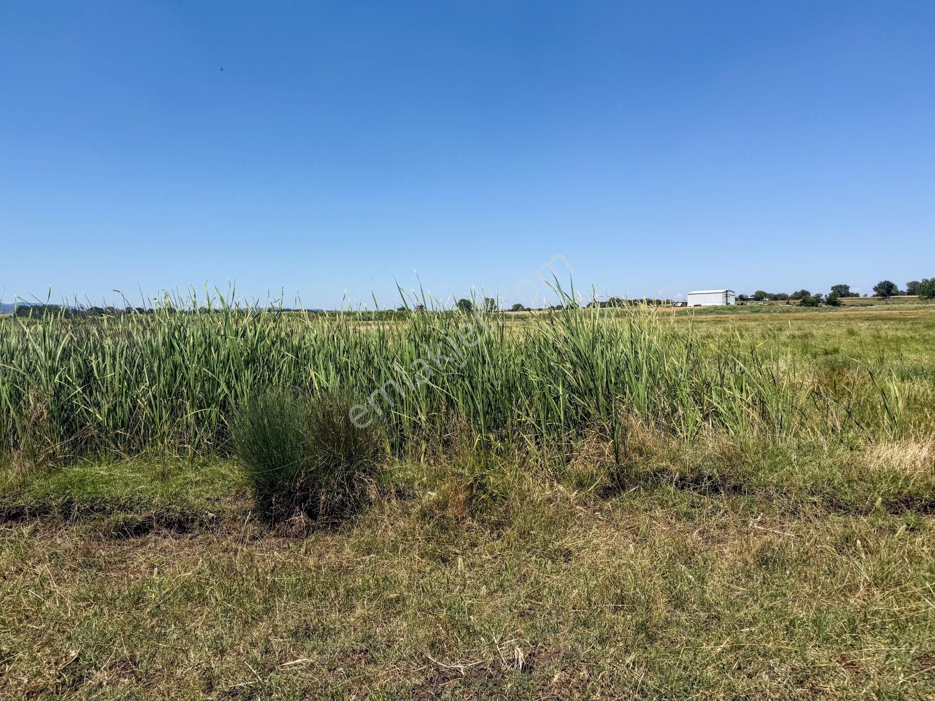 Çanakkale Biga'da Köye 600 M, Üniversiteye 2 Km Yatırım Fırsatı - Görsel 14