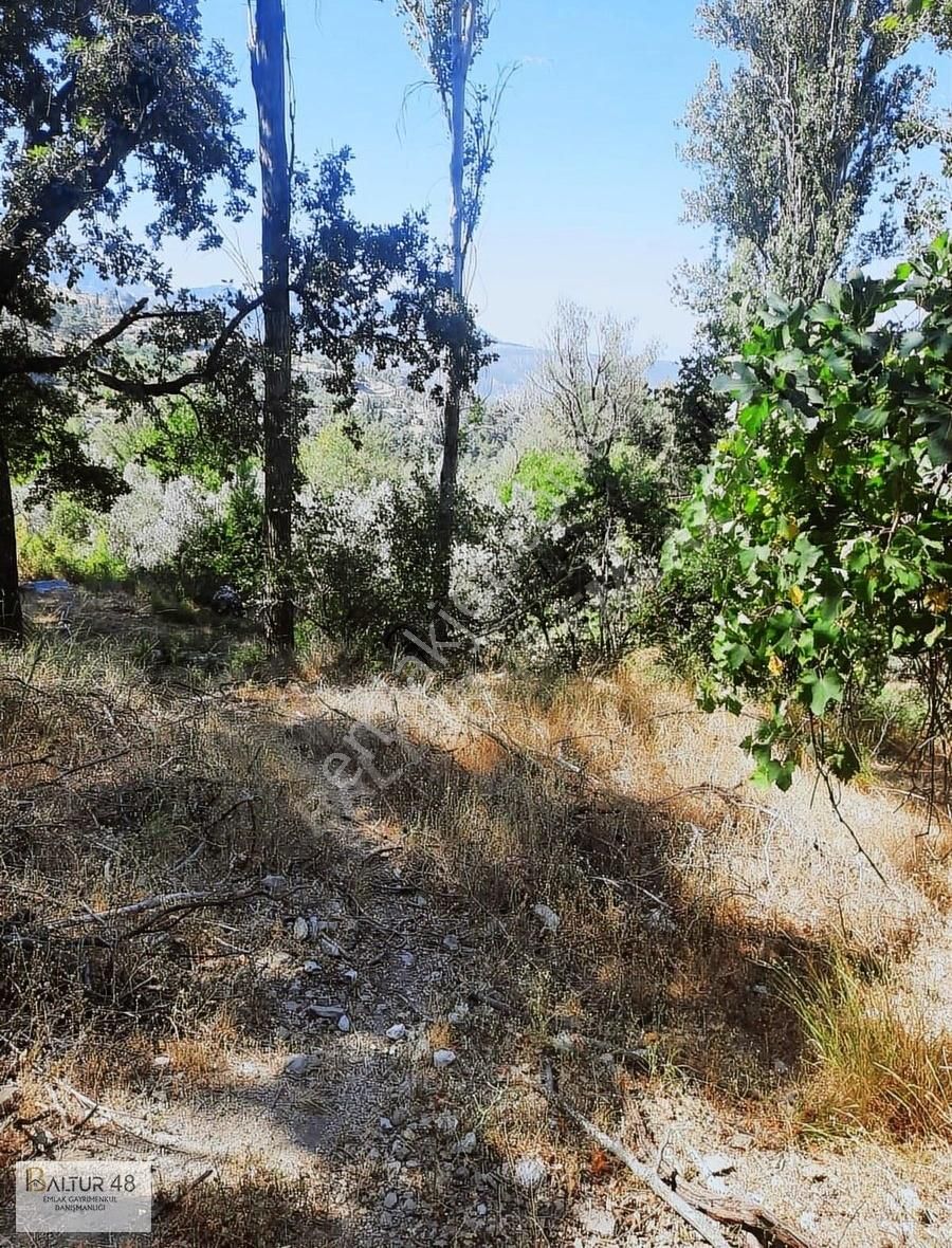 Bayır Mh Köy Yerleşik Alan İçinde Tek Tapu 575 M2 Arazi