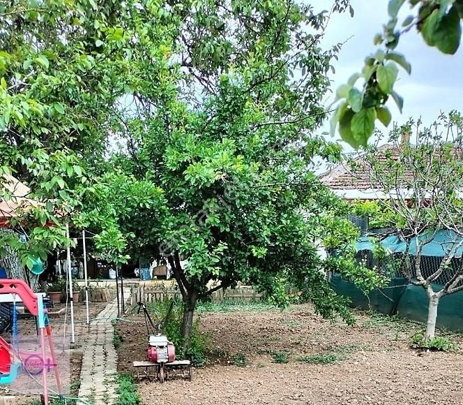 Violetten İçinde Ev Olan Satılık Arsa Koyunhisar Yenişehir Bursa - Görsel 10