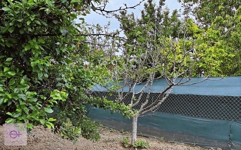 Violetten İçinde Ev Olan Satılık Arsa Koyunhisar Yenişehir Bursa - Görsel 13