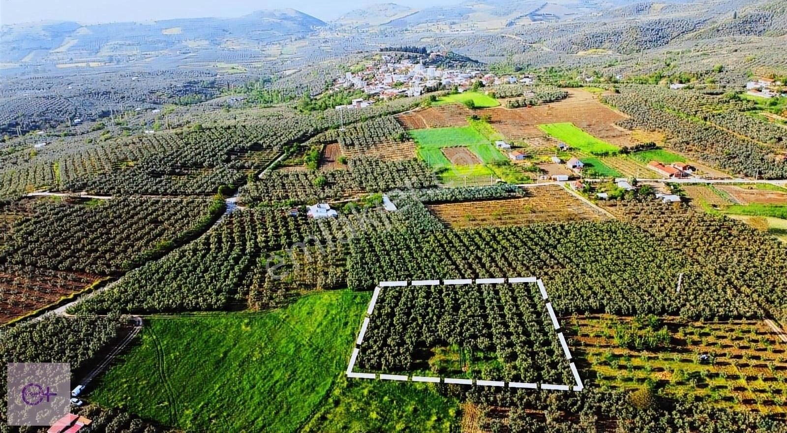 Violetten Satılık Tarla Yalıçiftlik Mahallesi Mudanya Bursa