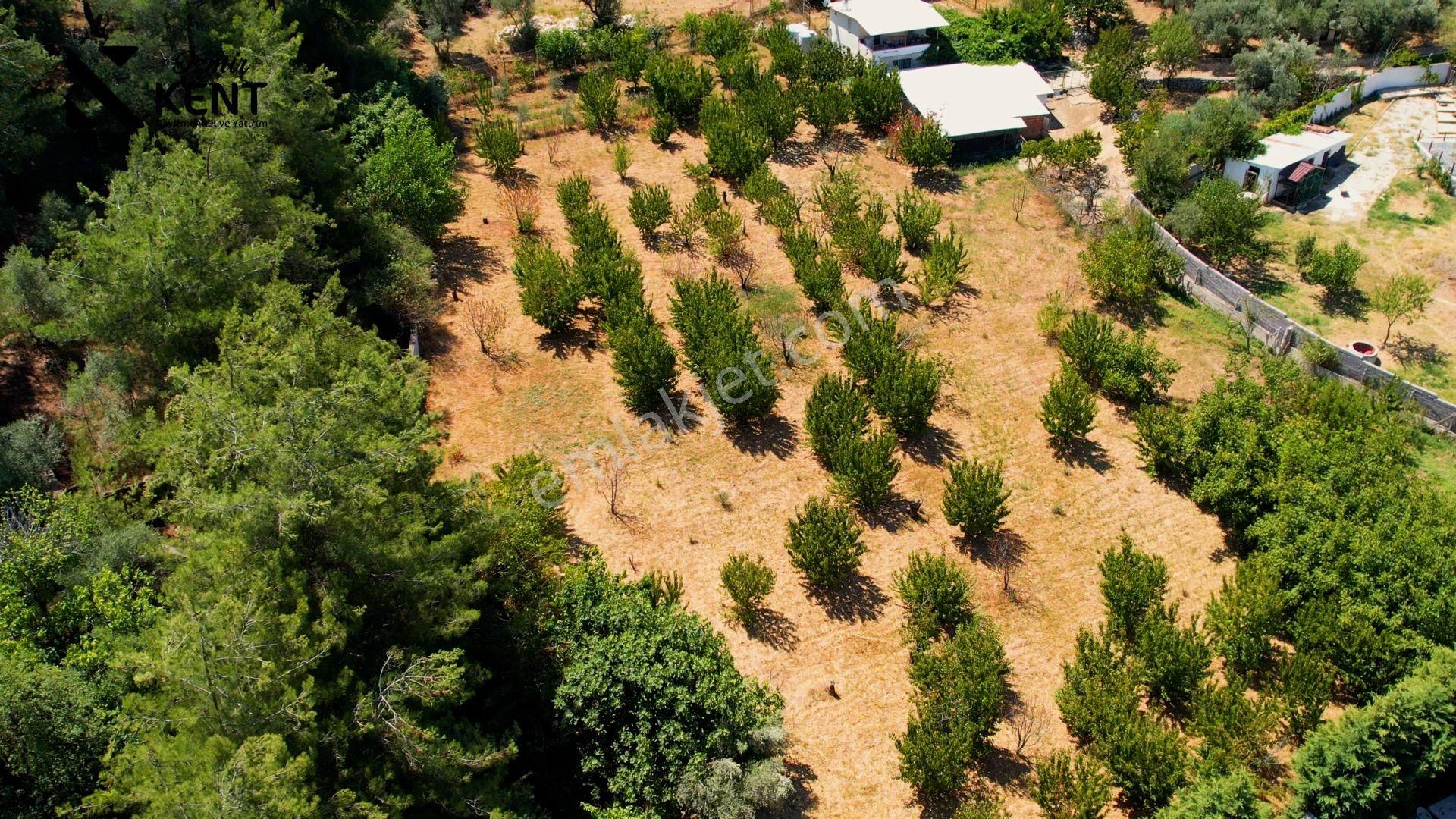 Kemalpaşa Aşağıkızılca'da 3+1 150 M2 Satılık Müstakil Ev - Görsel 5