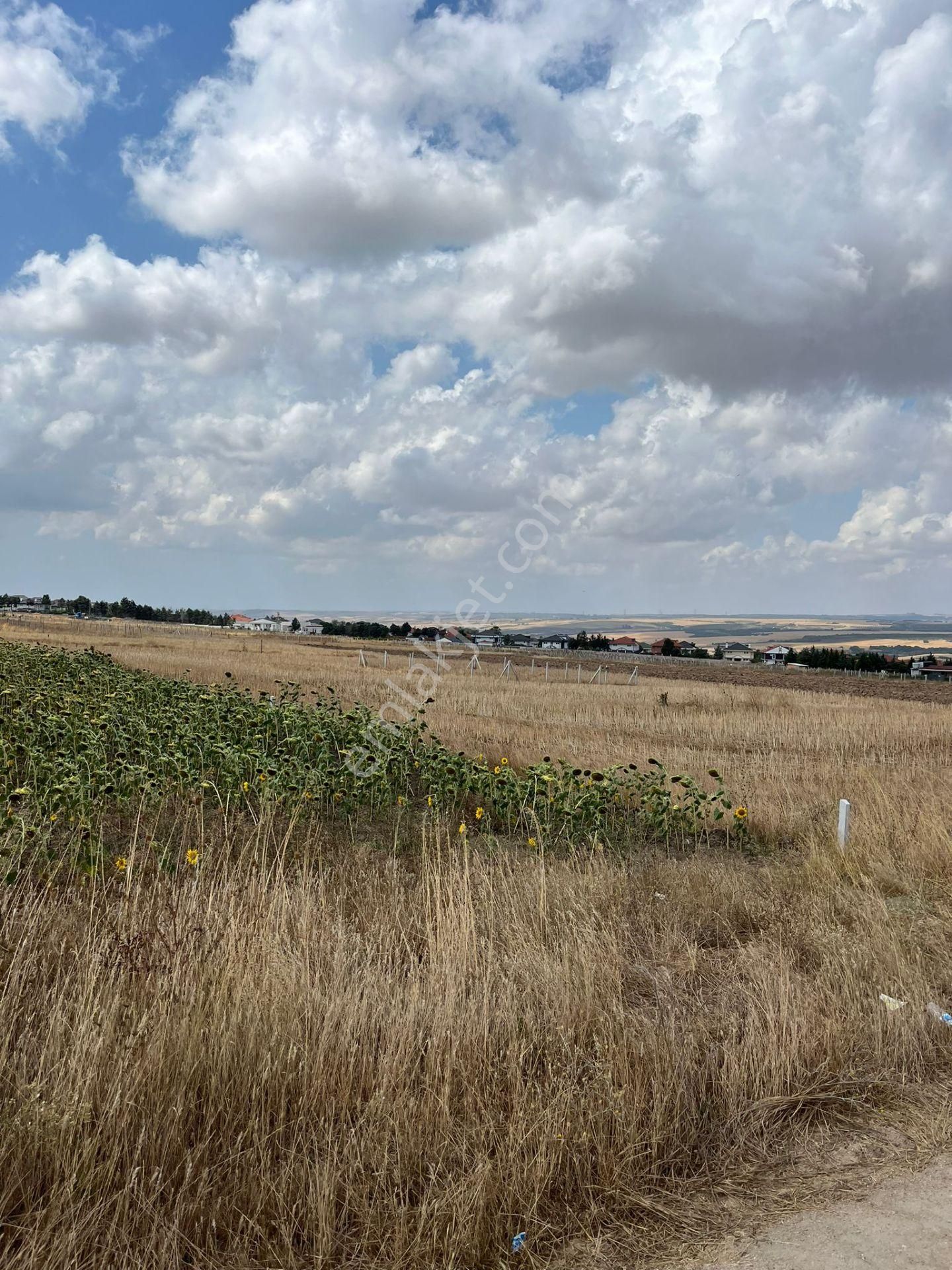 Silivri Balabanda Villara Komşu Parseller - Görsel 5