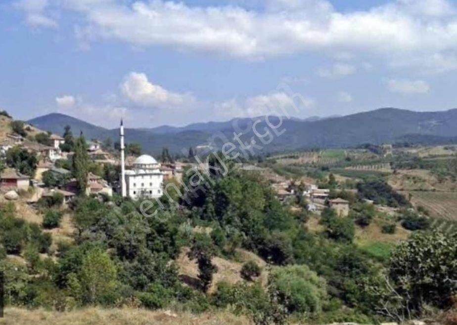 İznik Gürmüzlü Yatırımlık Tarla - Görsel 4