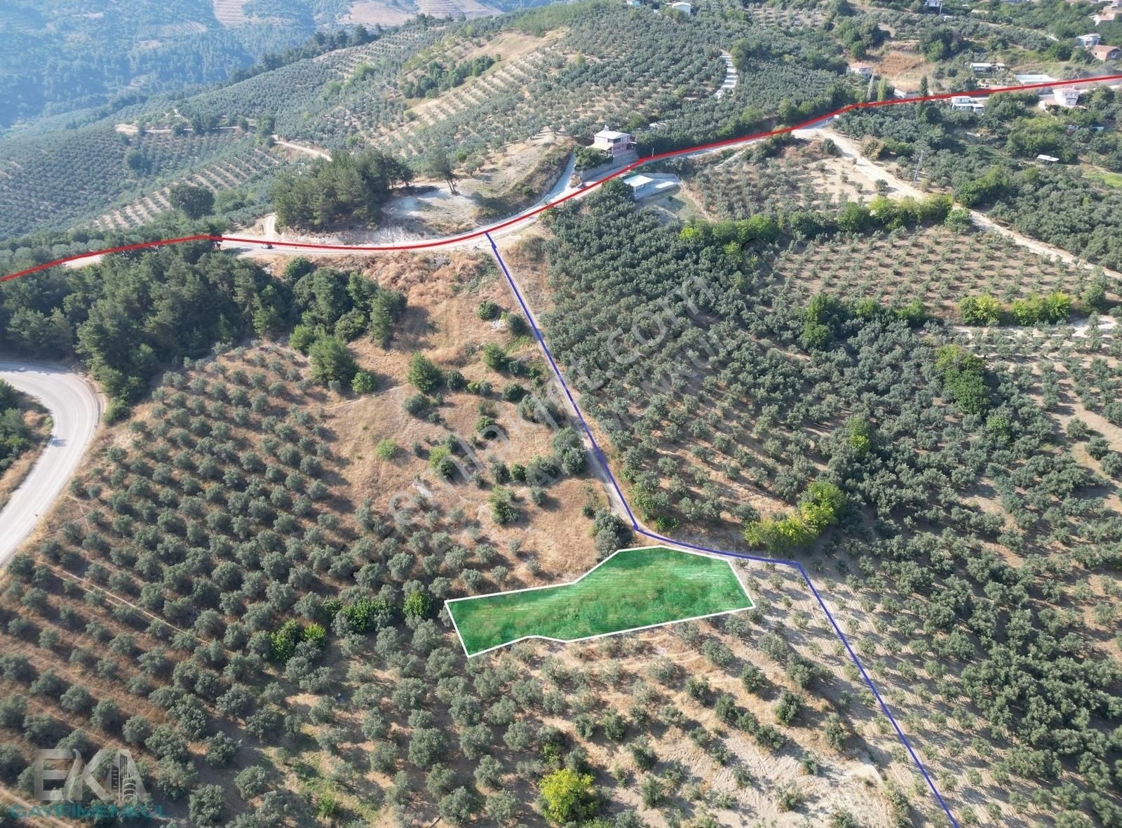Mudanya İpekyaylada Köy Merkezine Yakın Manzaralı Arazi