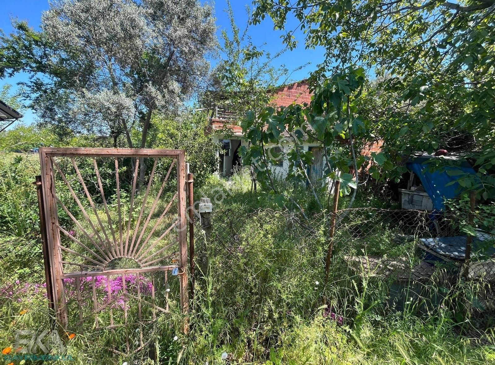 Esencede Tek Tapu Evi Olan Arazi Denize Çok Yakın