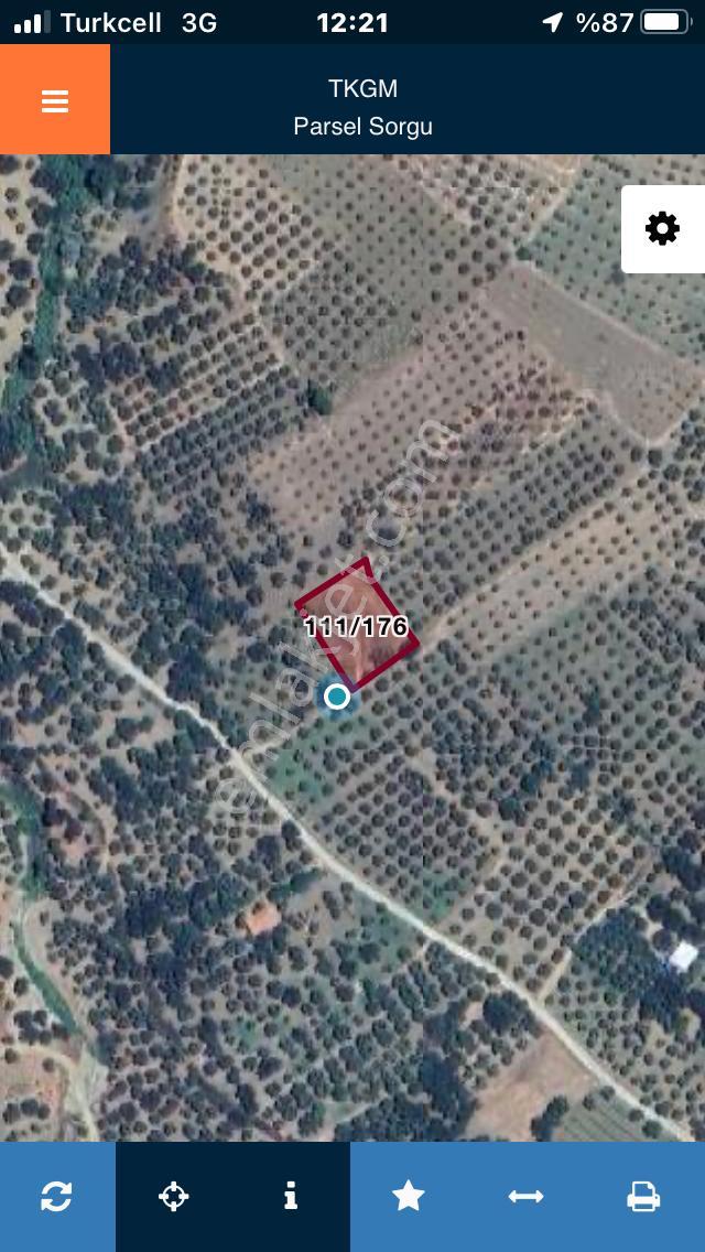 Şarköyde Işık Emlaktan Eriklice Mah De 1326 M2 Zeytinlik - Görsel 14
