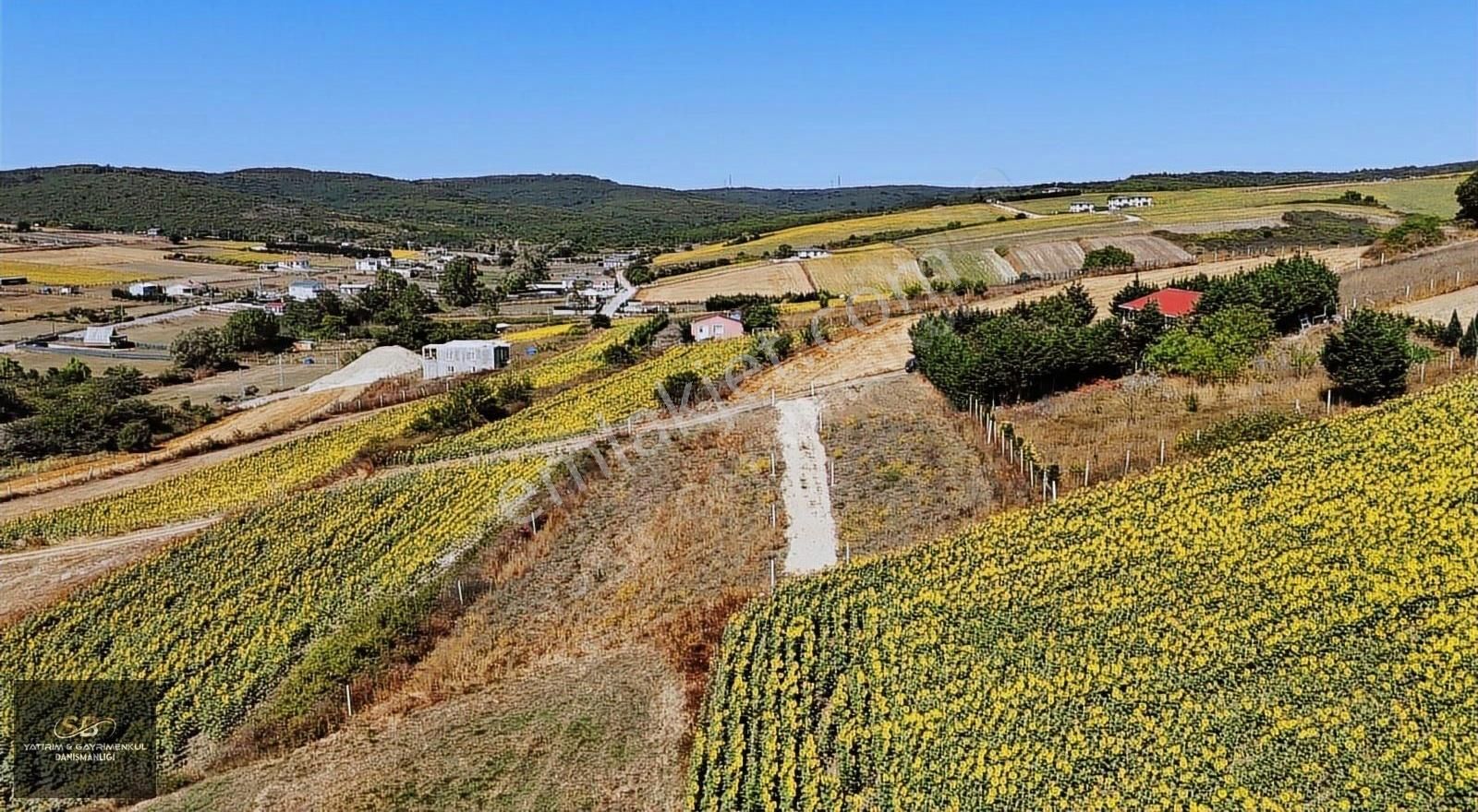 Çatalca Çanakça Da Tepe Konumda 260 M² Arsa - Görsel 5