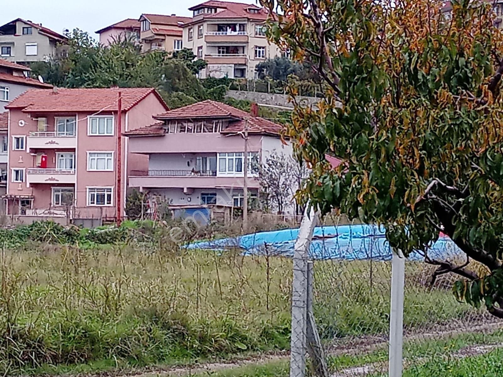 Yalova Acill!!! Çitlikköy Taşköprü Köyaltı Mevkii Satılık Kelepir Villa Arsası 660 Metre Müstakil