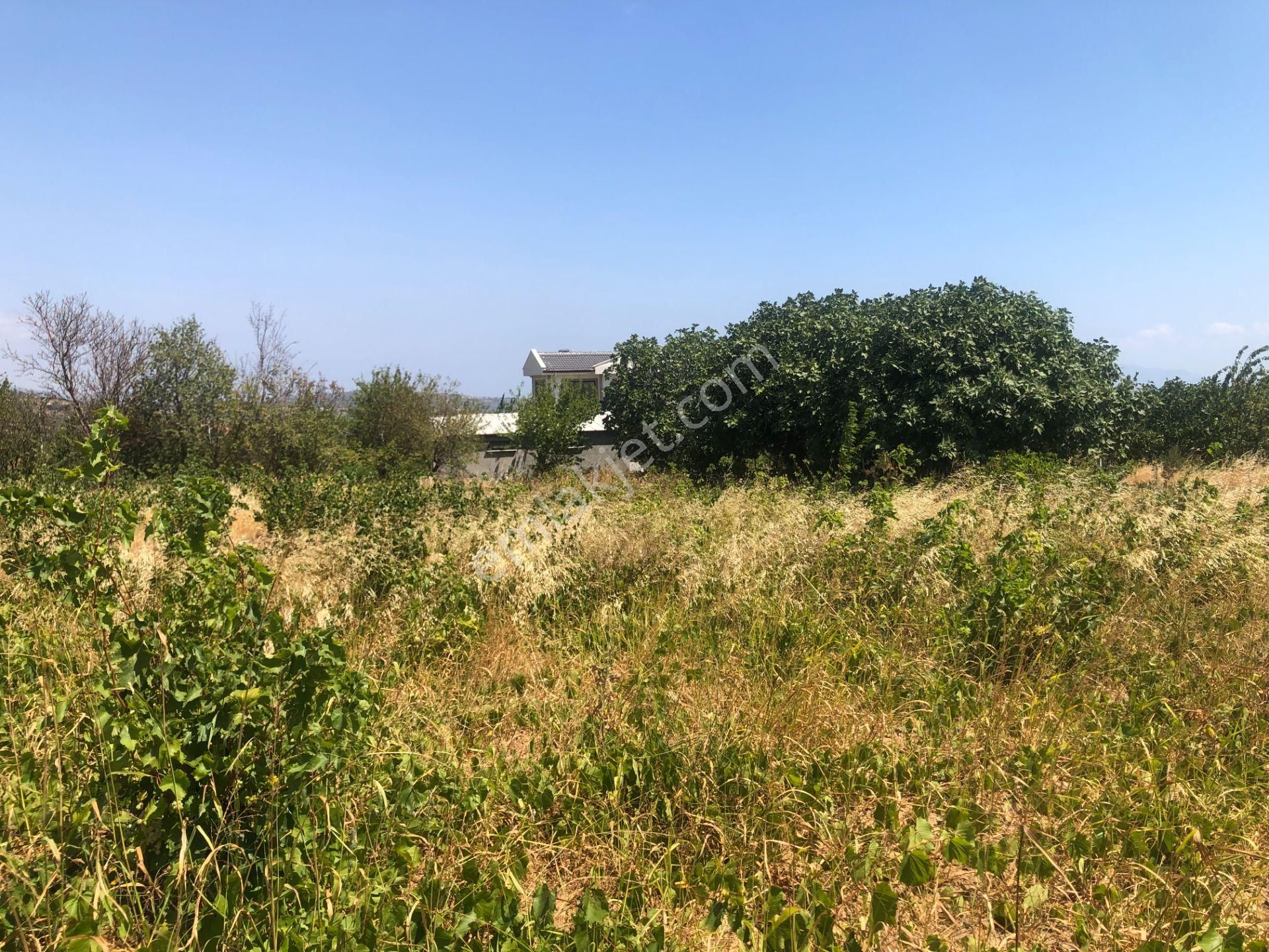 Şarköy De Işık Emlaktan Tepeköy Mah De 916 M2 0/35 İmarlı Arsalar - Görsel 8