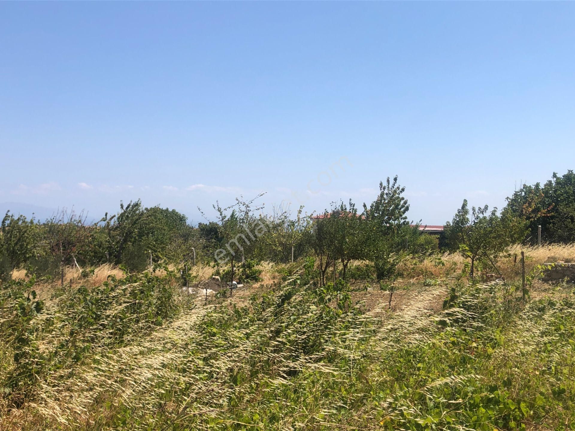 Şarköy De Işık Emlaktan Tepeköy Mah De 916 M2 0/35 İmarlı Arsalar - Görsel 9