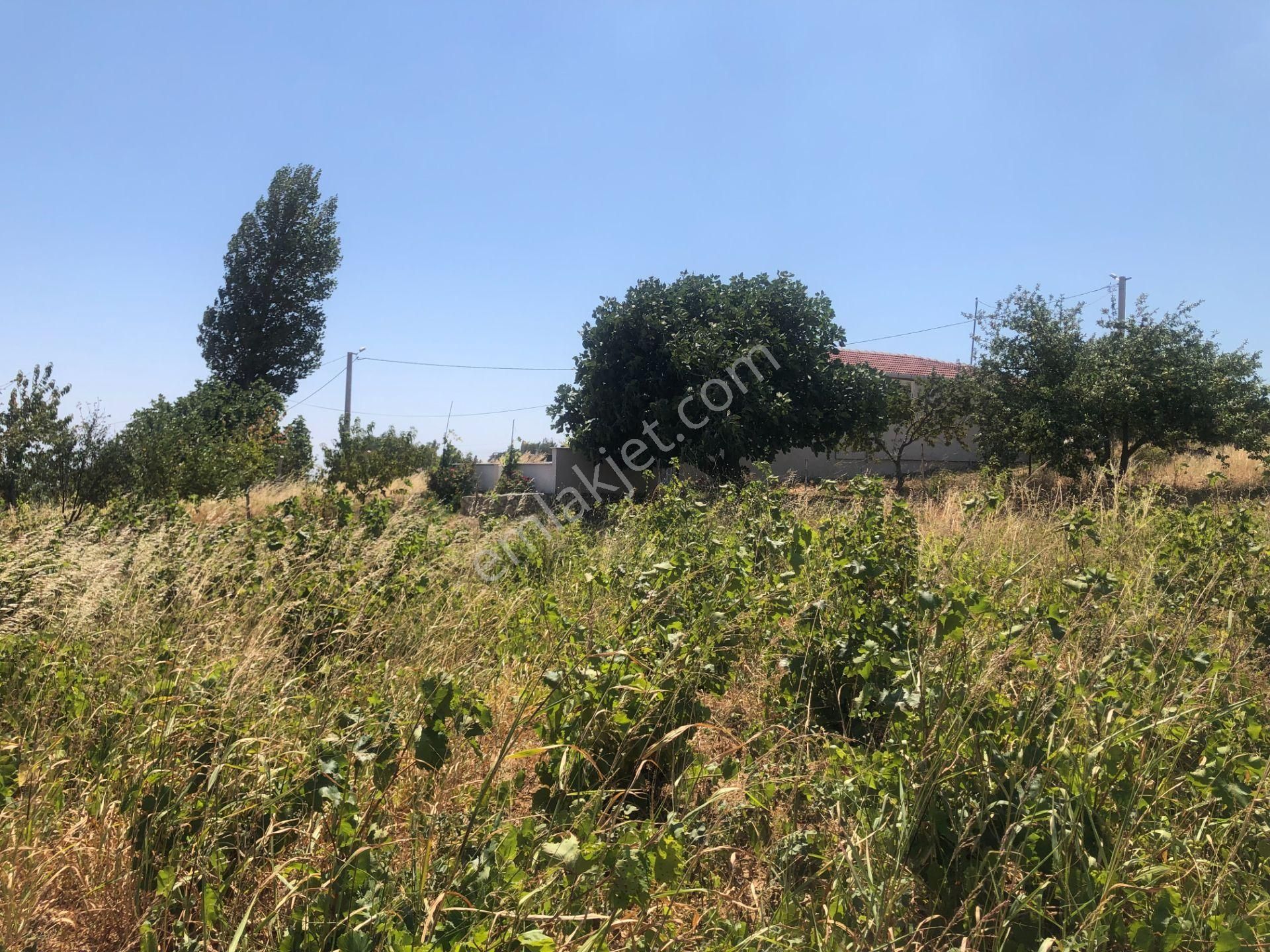 Şarköy De Işık Emlaktan Tepeköy Mah De 916 M2 0/35 İmarlı Arsalar - Görsel 3