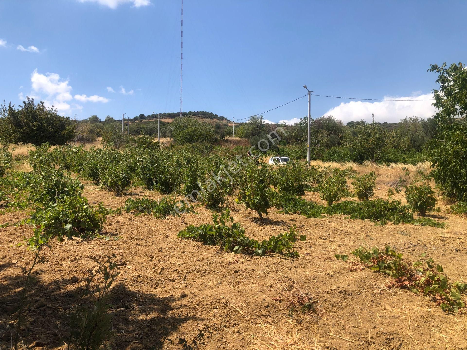 Şarköy De Işık Emlaktan Tepeköy Mah De 916 M2 0/35 İmarlı Arsalar - Görsel 5