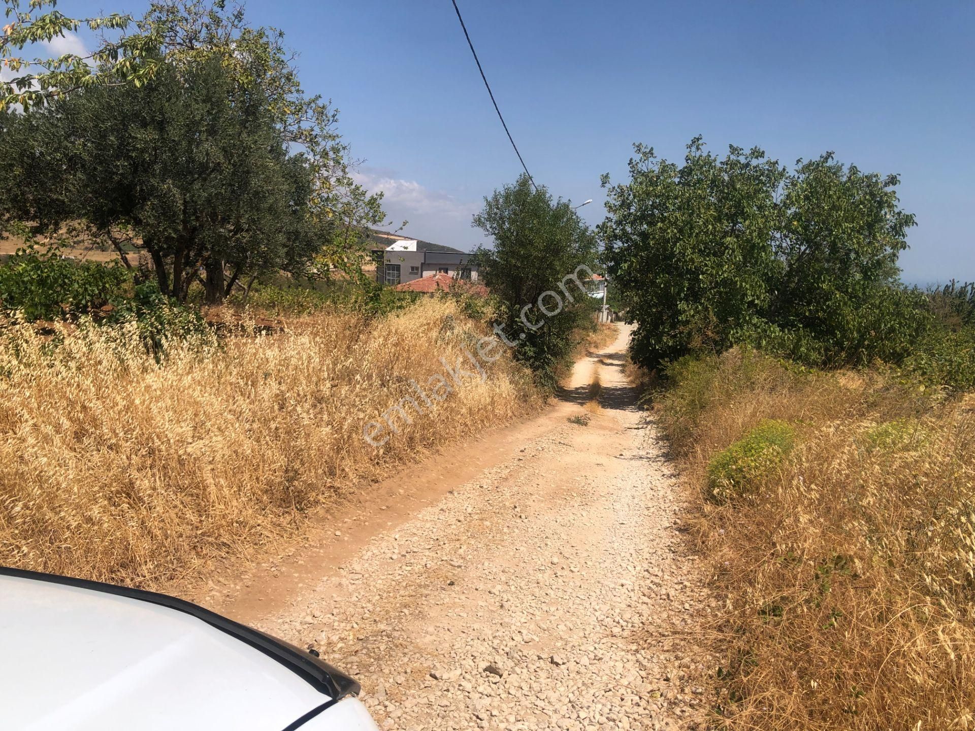 Şarköy De Işık Emlaktan Tepeköy Mah De 916 M2 0/35 İmarlı Arsalar - Görsel 13