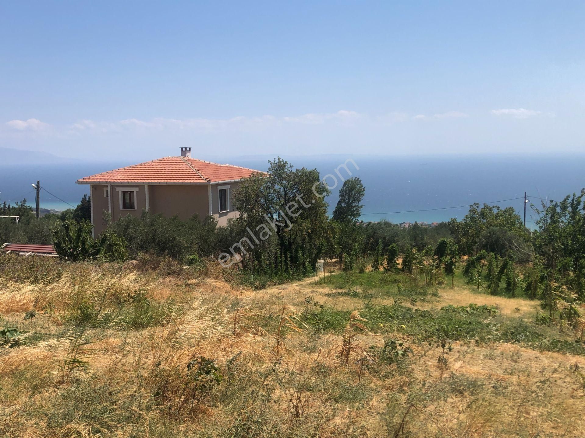 Şarköy De Işık Emlaktan Yukarıkalamış Mah De 1450 M2 0/75 İmarlı Arsa - Görsel 11