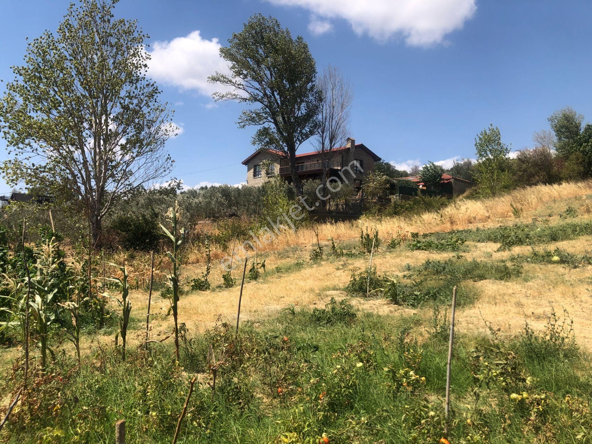 Şarköy De Işık Emlaktan Yukarıkalamış Mah De 1450 M2 0/75 İmarlı Arsa - Görsel 14