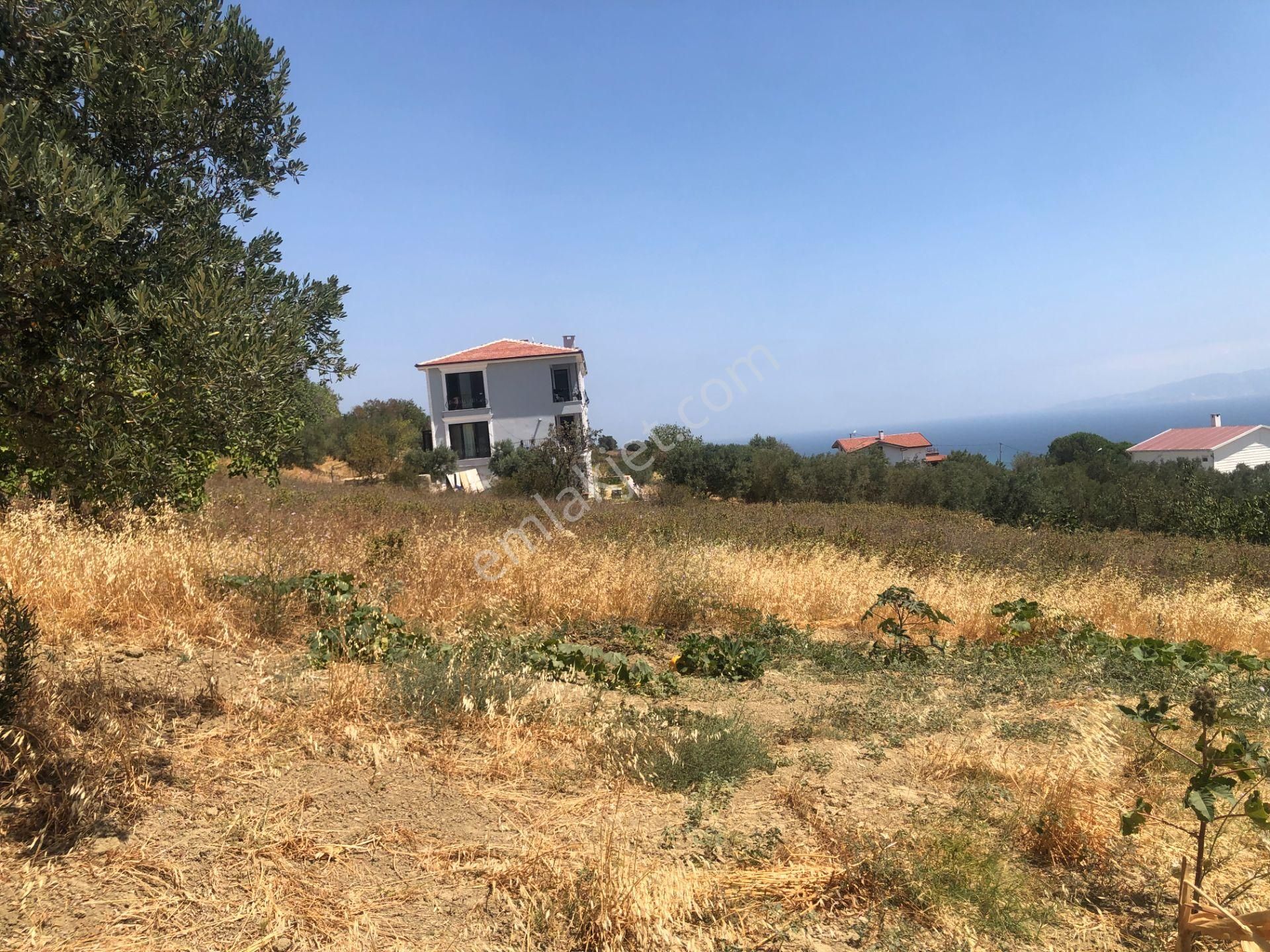 Şarköy De Işık Emlaktan Yukarıkalamış Mah De 1450 M2 0/75 İmarlı Arsa - Görsel 9