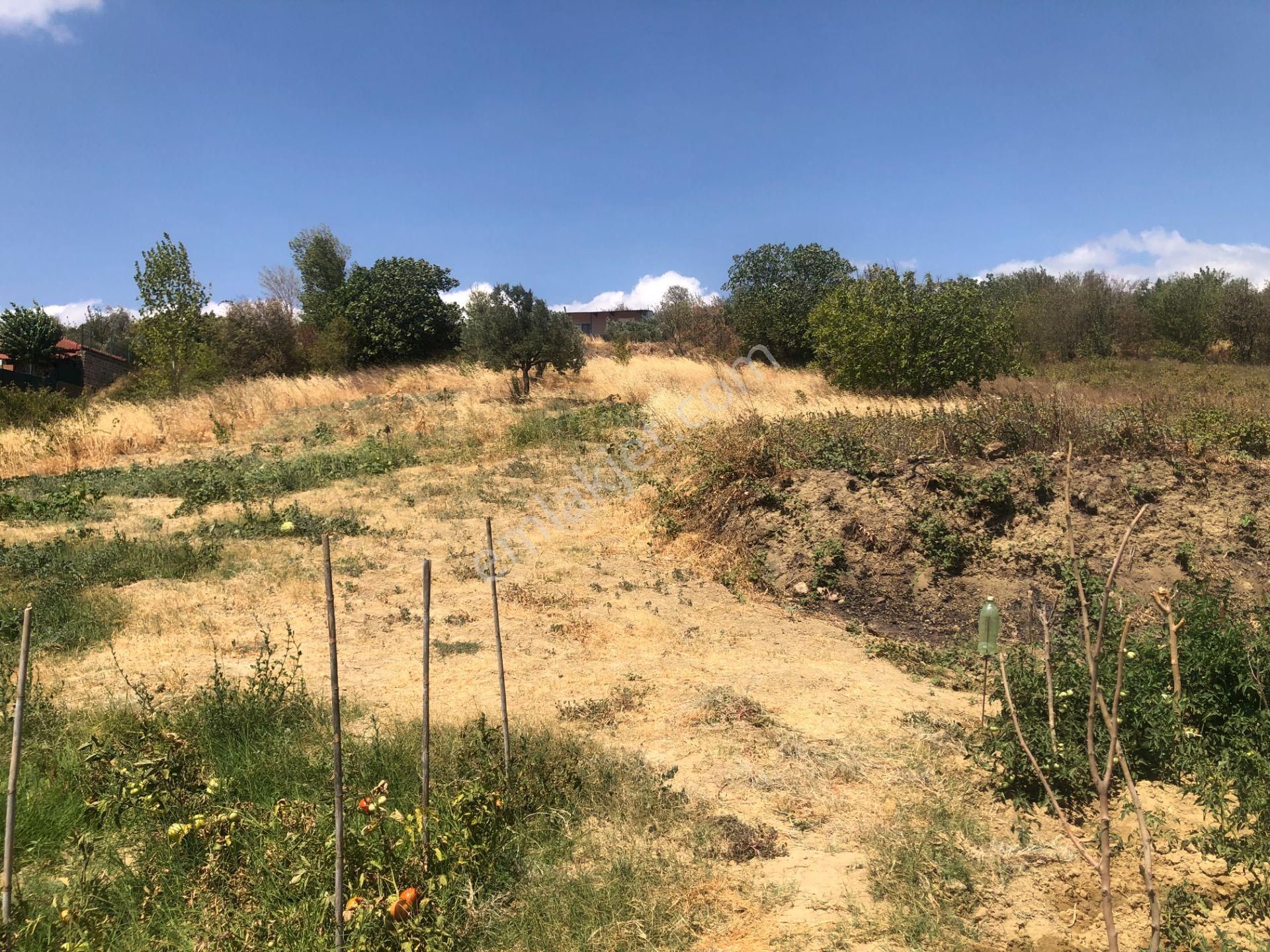 Şarköy De Işık Emlaktan Yukarıkalamış Mah De 1450 M2 0/75 İmarlı Arsa - Görsel 15