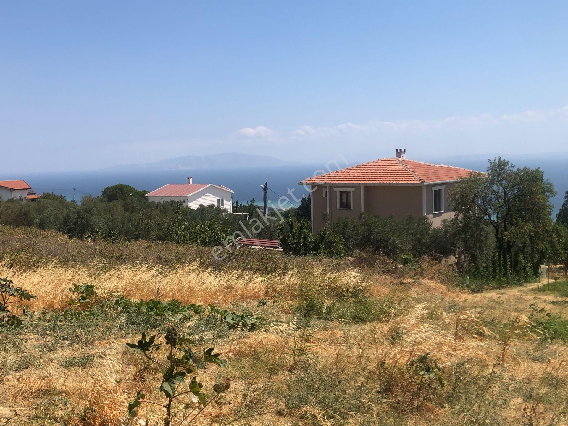 Şarköy De Işık Emlaktan Yukarıkalamış Mah De 1450 M2 0/75 İmarlı Arsa - Görsel 8