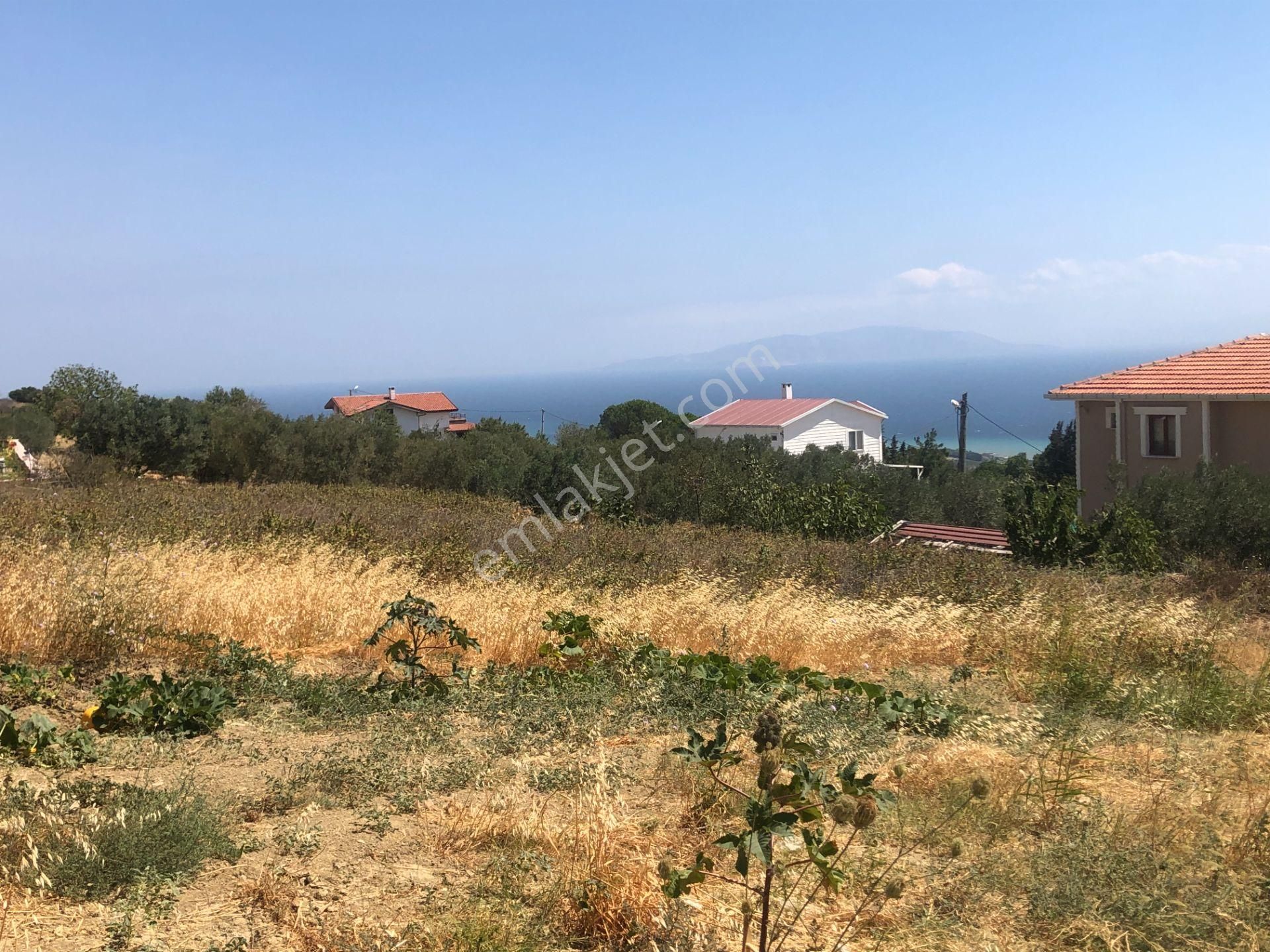 Şarköy De Işık Emlaktan Yukarıkalamış Mah De 1450 M2 0/75 İmarlı Arsa - Görsel 4