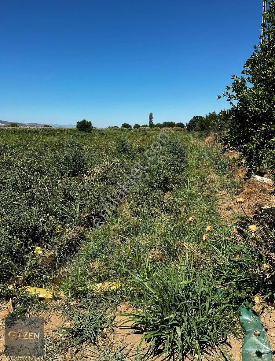 Aydın Köşk Serdaroğlu Mahallesinde Satılık 4600m2 Tek Tapu Arsa - Görsel 11