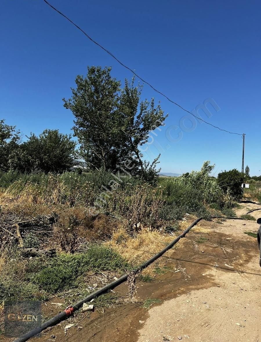 Aydın Köşk Serdaroğlu Mahallesinde Satılık 4600m2 Tek Tapu Arsa