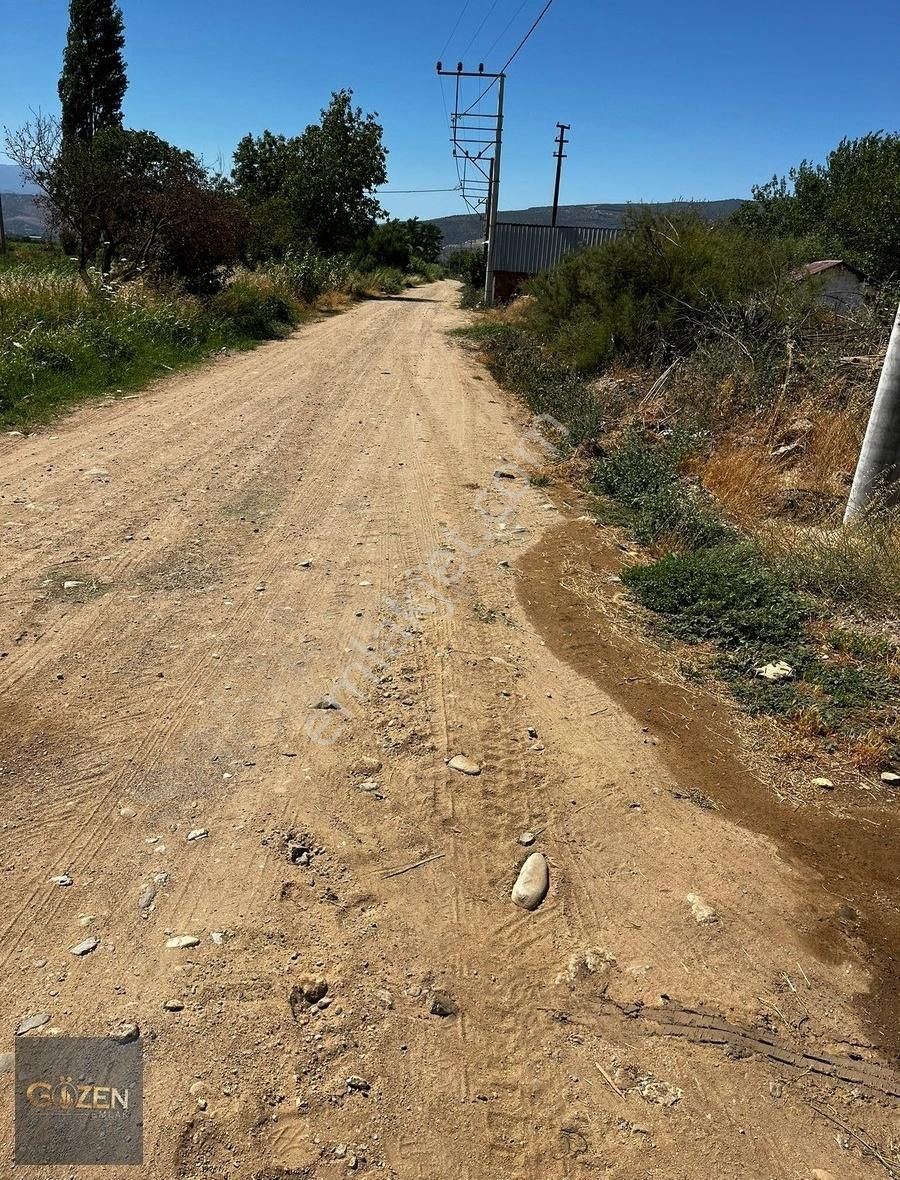 Aydın Köşk Serdaroğlu Mahallesinde Satılık 4600m2 Tek Tapu Arsa - Görsel 10