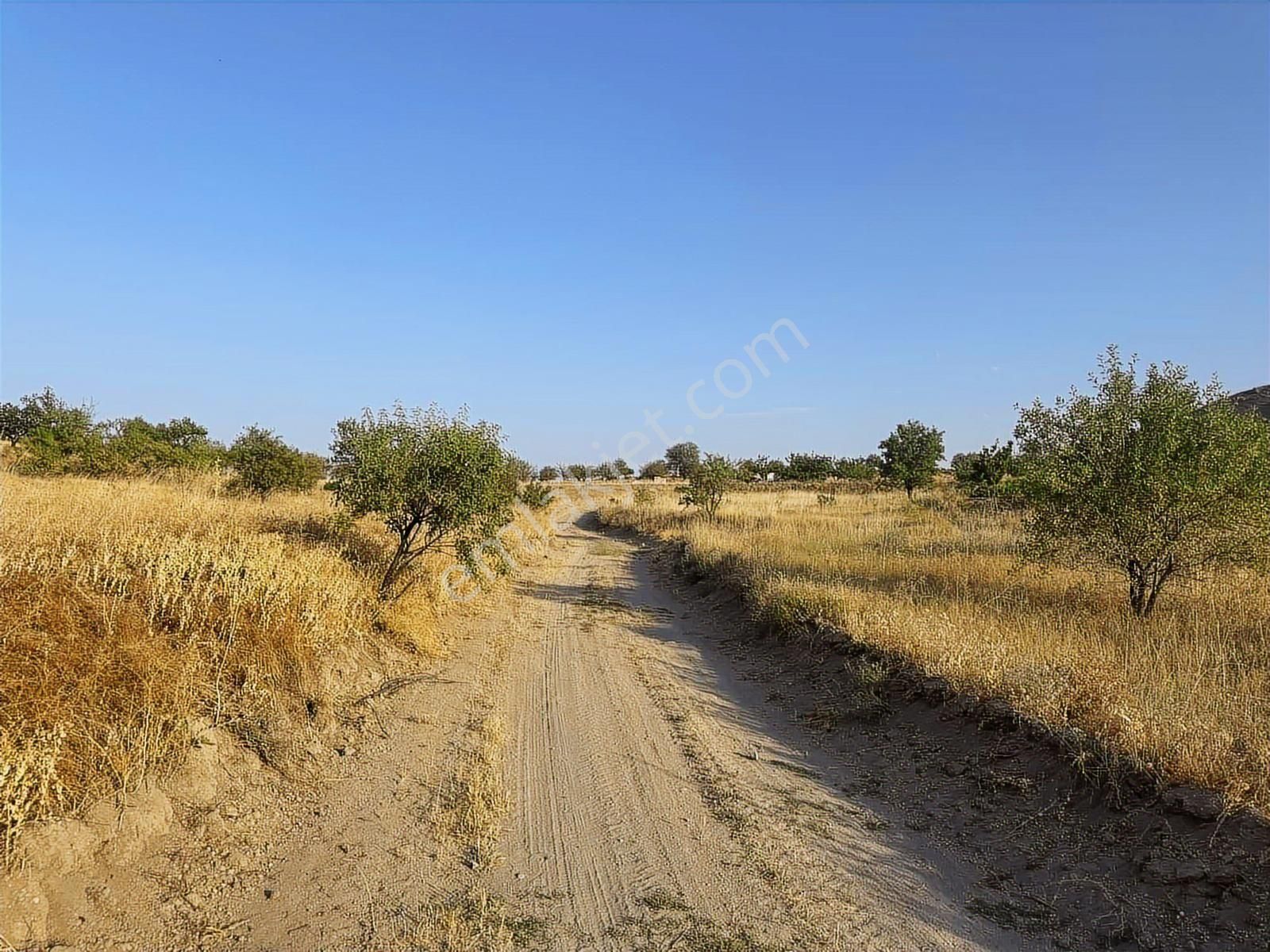 Ürgüp Mustafapaşa 'da1240 M2 Yolu Olan Bağ