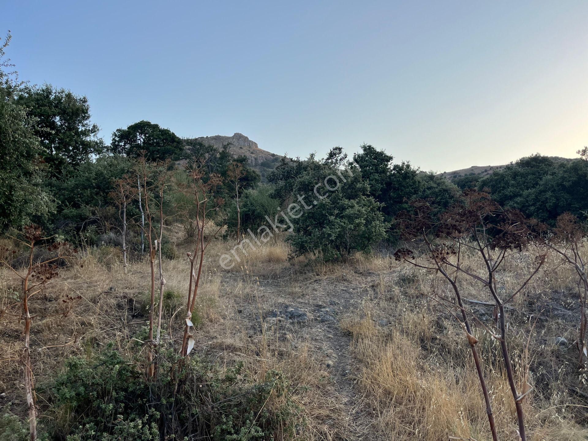 Bodrum Yahşi'de Deniz Manzaralı Malikaneler Bölgesinde Tarla - Görsel 7