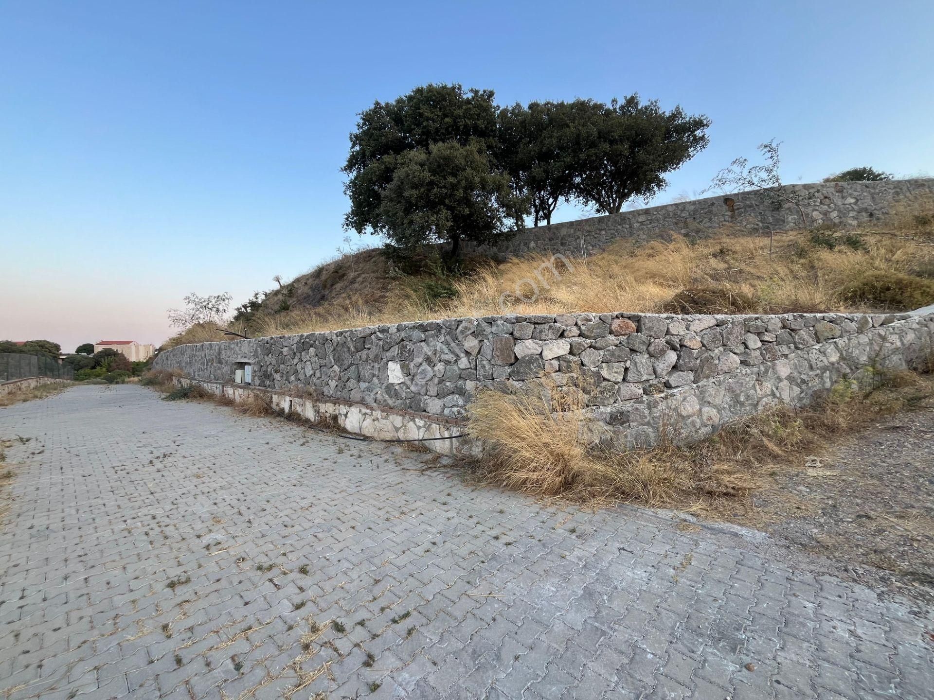 Bodrum Yahşi'de Deniz Manzaralı Malikaneler Bölgesinde Tarla - Görsel 4