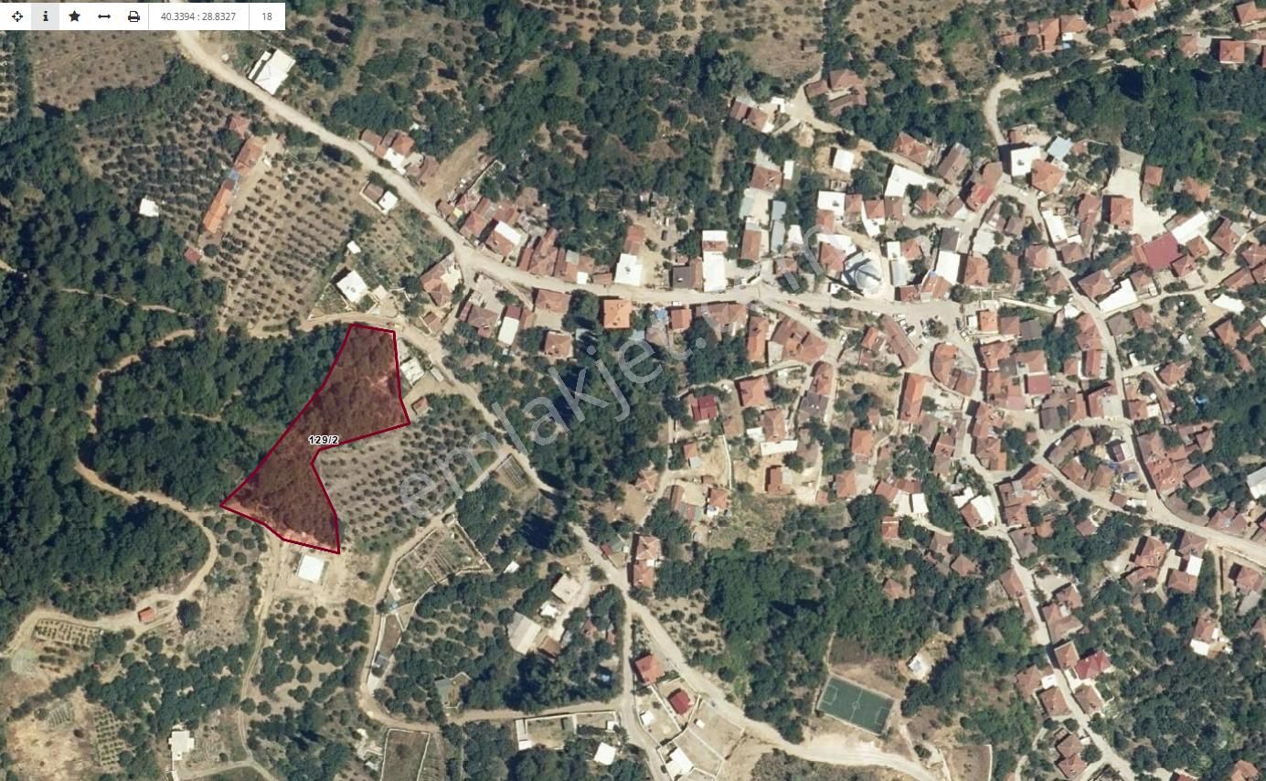Bursa Mudanya Çepni Köyünde Satılık Tarla