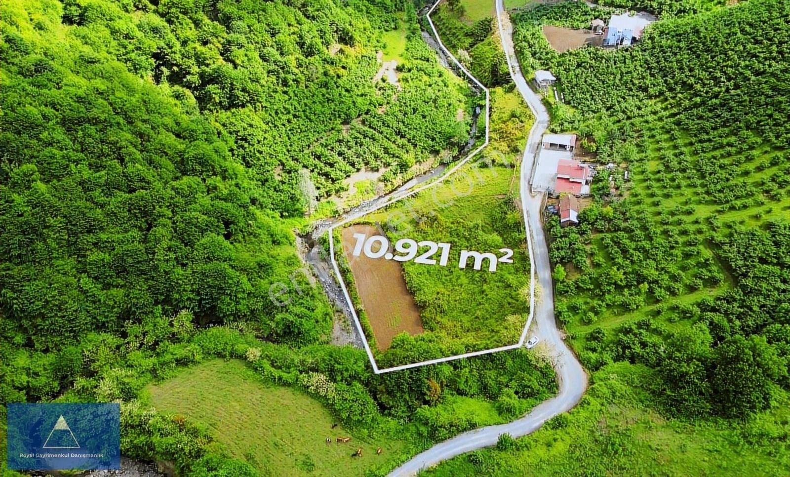 Samsun 19 Mayıs Beylikte 11 Bin M2 Yatırımlık Fırsat Tarla