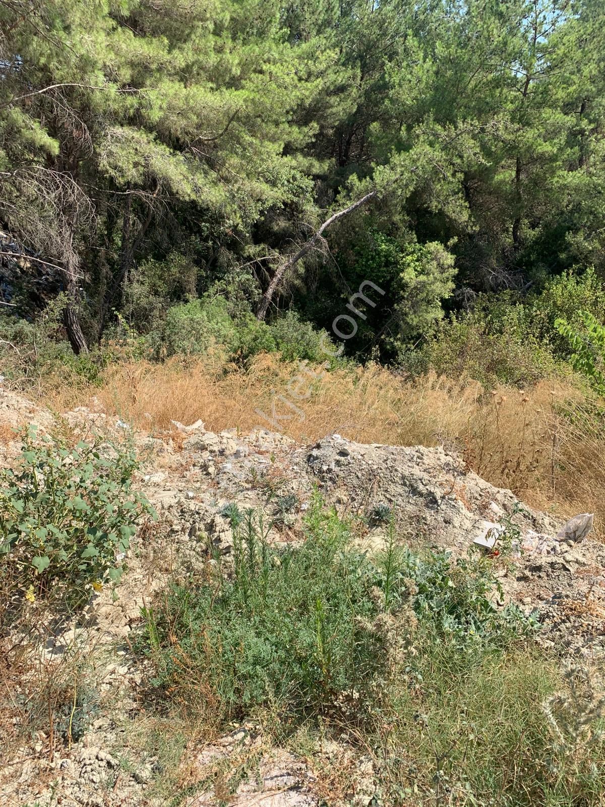 Kuşadası Soğucak Da 290 M2 Villa İmarlı Arsa - Görsel 3