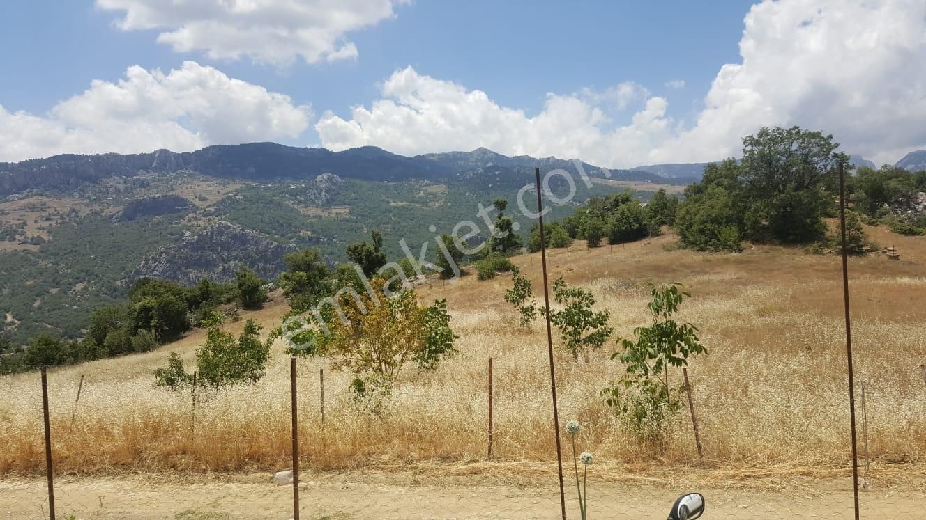 Yatırımlık Tarla Alanya / İmamlı