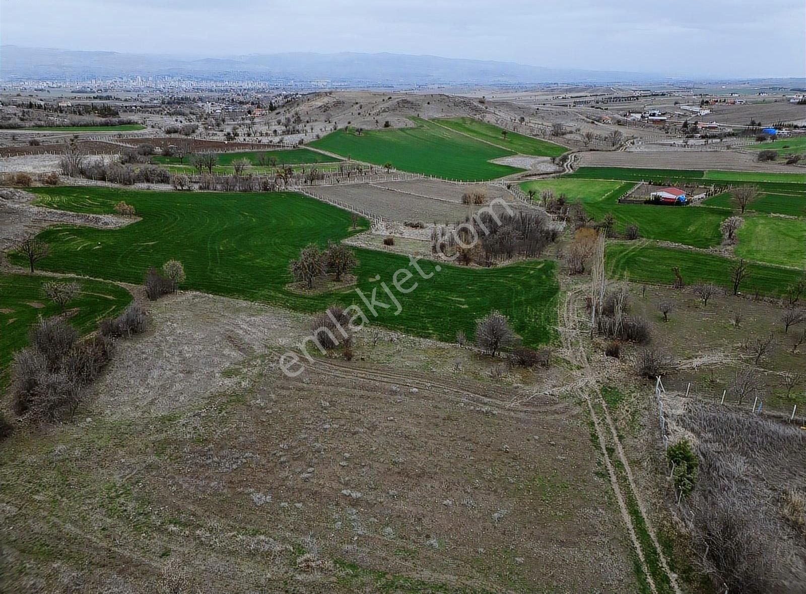 K.kazan Gyo'dan Soğulcak Mah.2150 M2 Ev Havuz Bulunan Bahçe Acil - Görsel 7