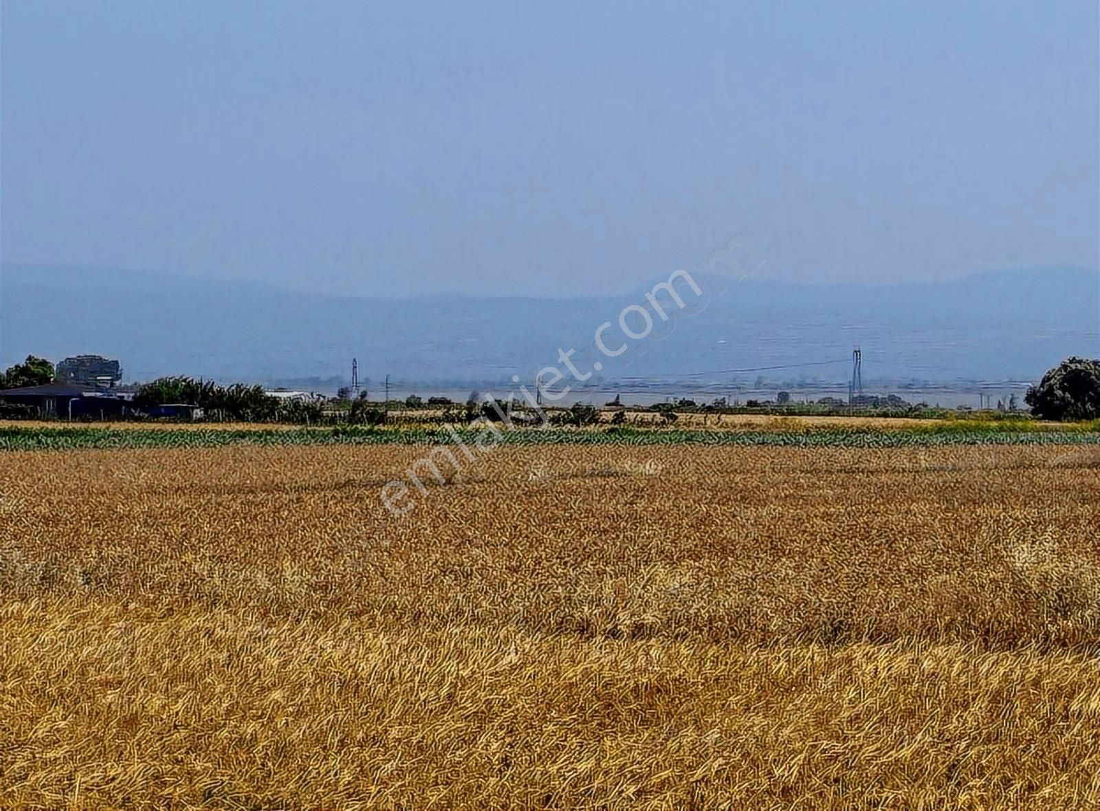 Hanedan'dan Seyranda Otoban Yanı Ramsar Dışı Arazi
