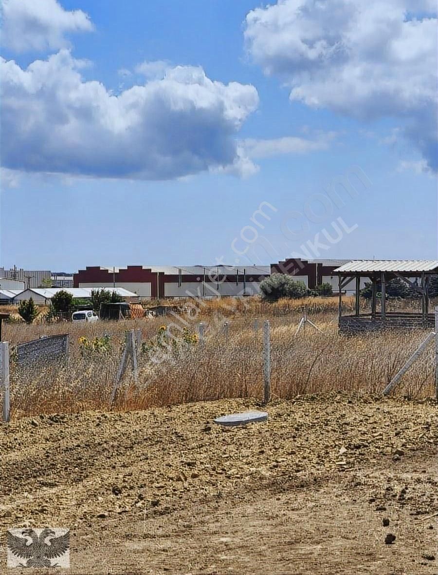 İmar İçinde 300 M2 Köye Yürüme Mesafesinde Satılık Parsel