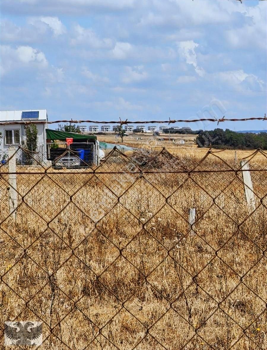303m2 Çaplı Mukavemetli Satılık Yatırımlık Parsel - Görsel 6