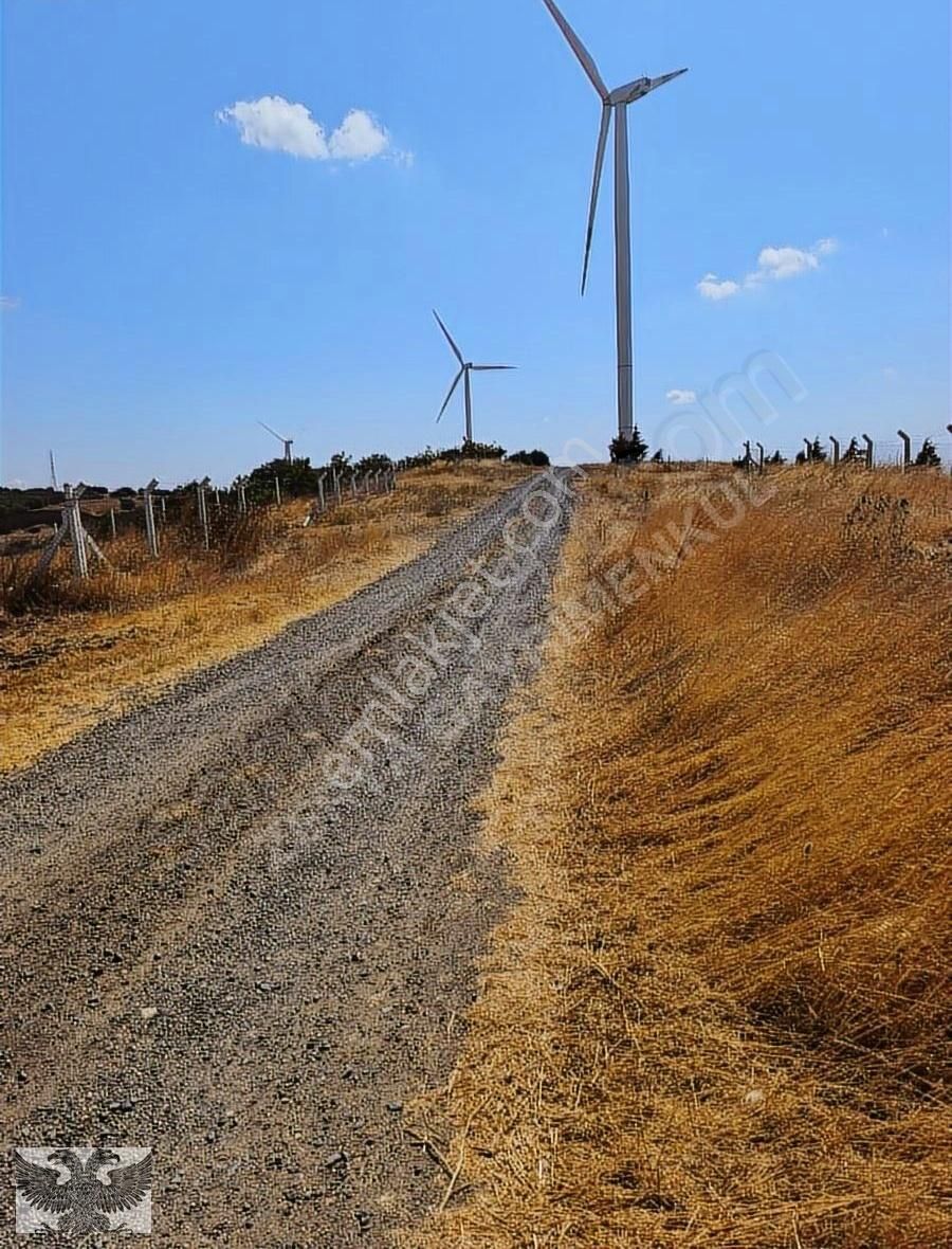 Tek Tapu Yüksek Konumda Deniz Manzaralı Tarla