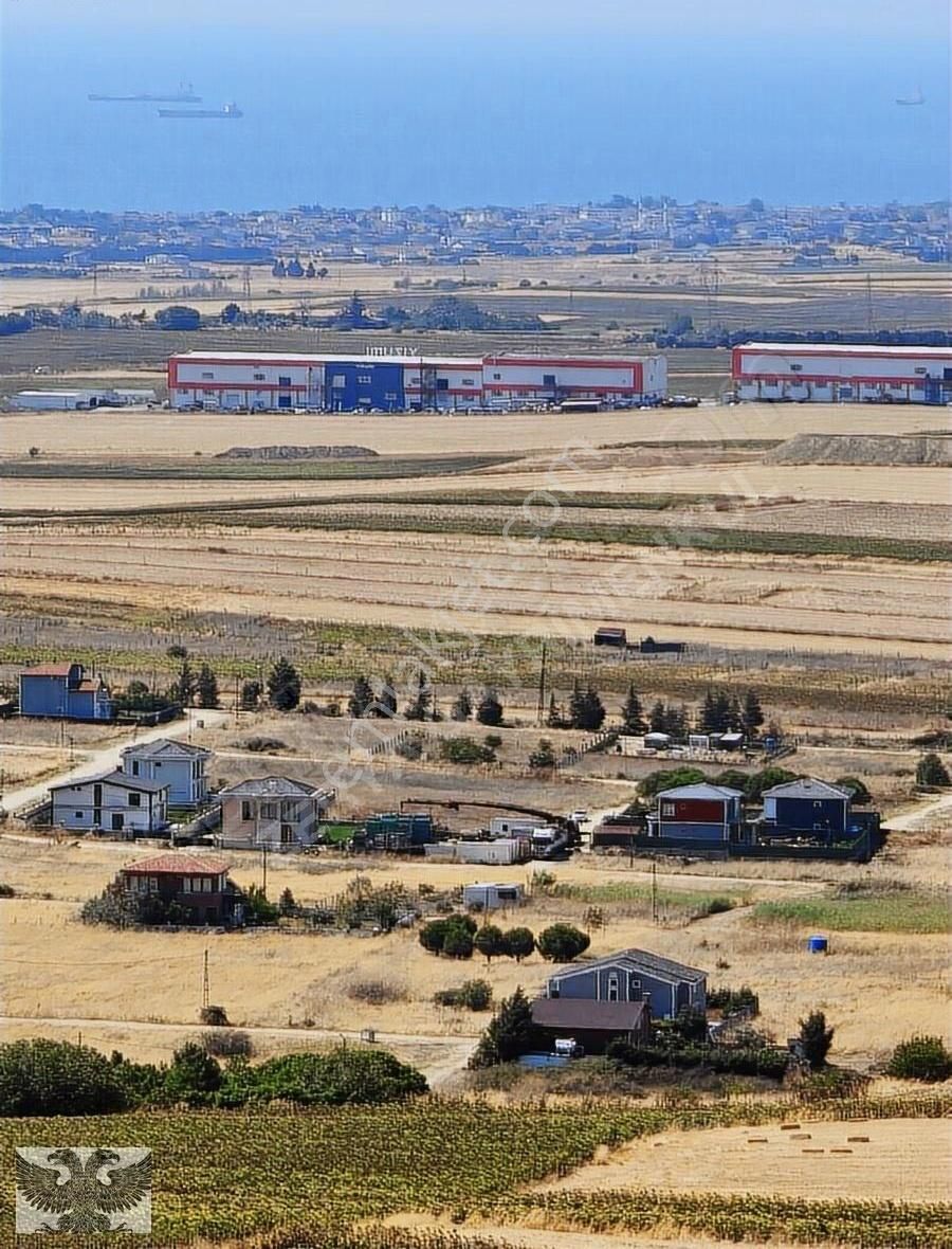 Tek Tapu Yüksek Konumda Deniz Manzaralı Tarla - Görsel 5