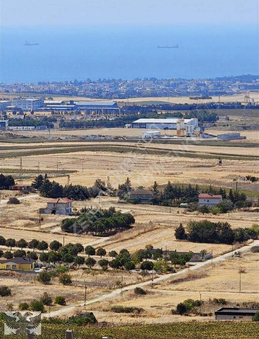 Tek Tapu Yüksek Konumda Deniz Manzaralı Tarla - Görsel 14