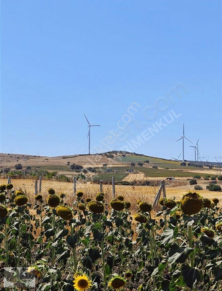 Çanta Sancaktepe Mahallesinde 368 M2 Yatırımlık Hisse - Görsel 6