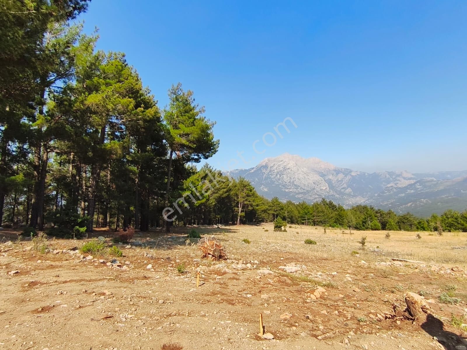 Pozantı Kar Emlaktan Yeni Konacık Körmenlik Mevkiinde 400 M2 Arsa