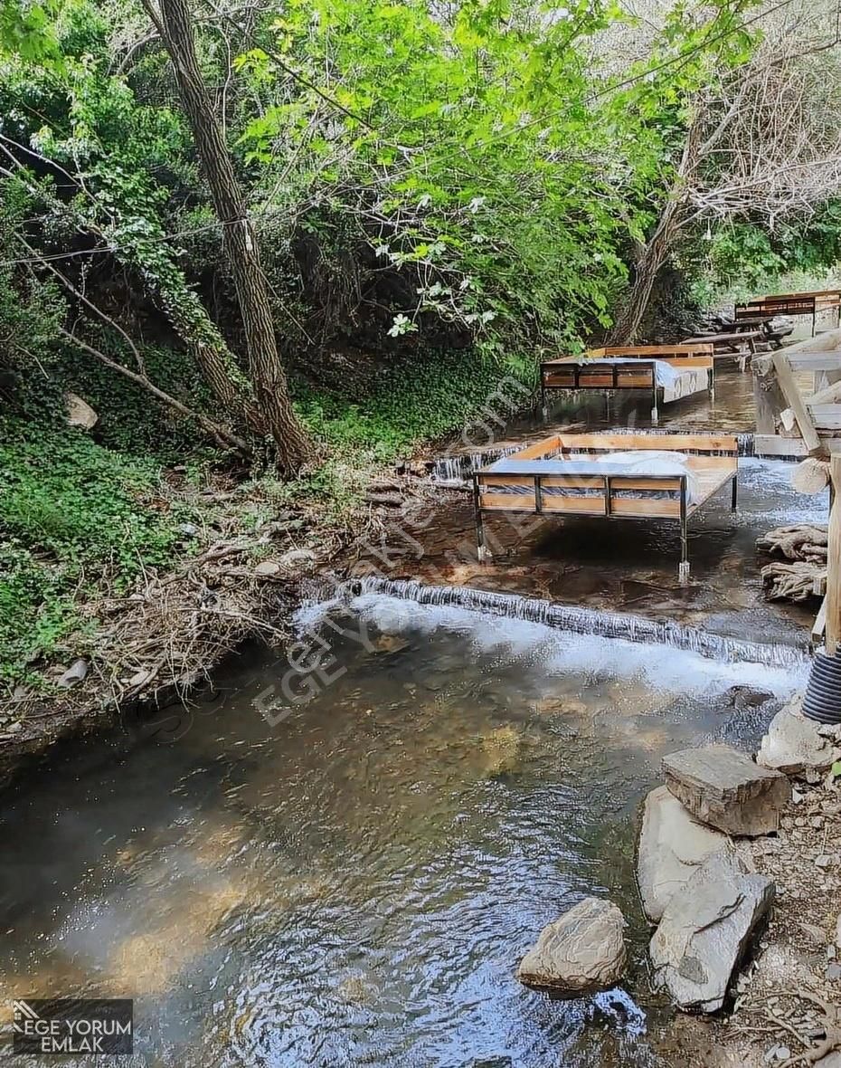 Kelepir Fiyatına 23.552m2 Müstakil Tapu Zeytinlik 1500 Ağaçlı - Görsel 5
