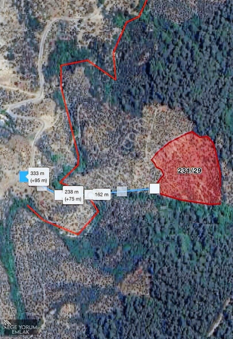 Kelepir Fiyatına 23.552m2 Müstakil Tapu Zeytinlik 1500 Ağaçlı - Görsel 3