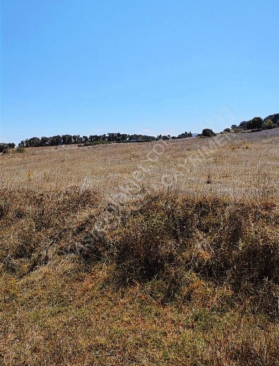 Sit Alanı Yakın Zamanda İmara Açılacak. - Görsel 6